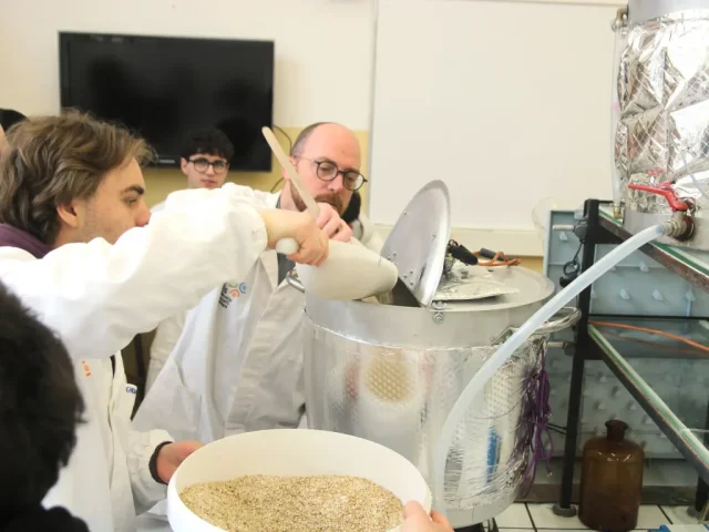 Produzione birra