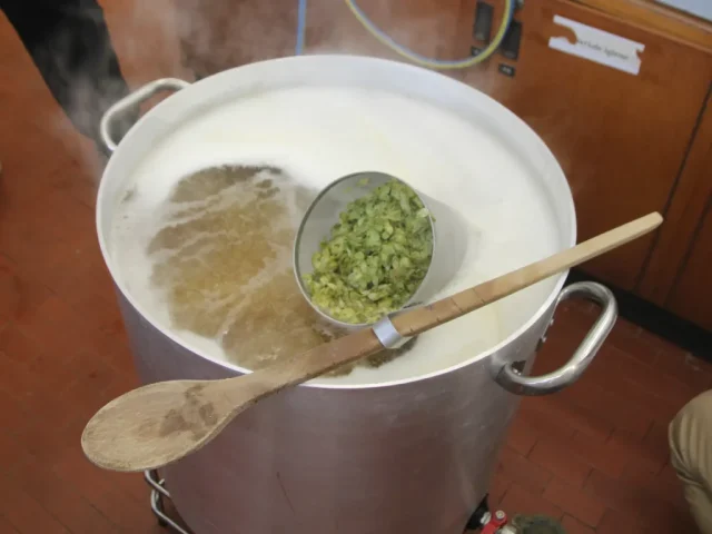 Produzione birra