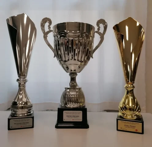 Olimpiadi Meccatronica